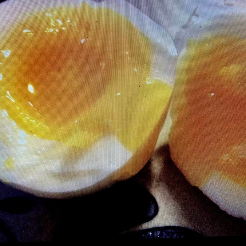 THREE MINUTE EGGS A Godless World